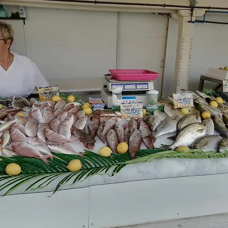 Ground Floor With Access To And Pool Apartment Le Barcares